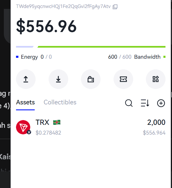 Delieverd a Status Monitoring Project in Tron 